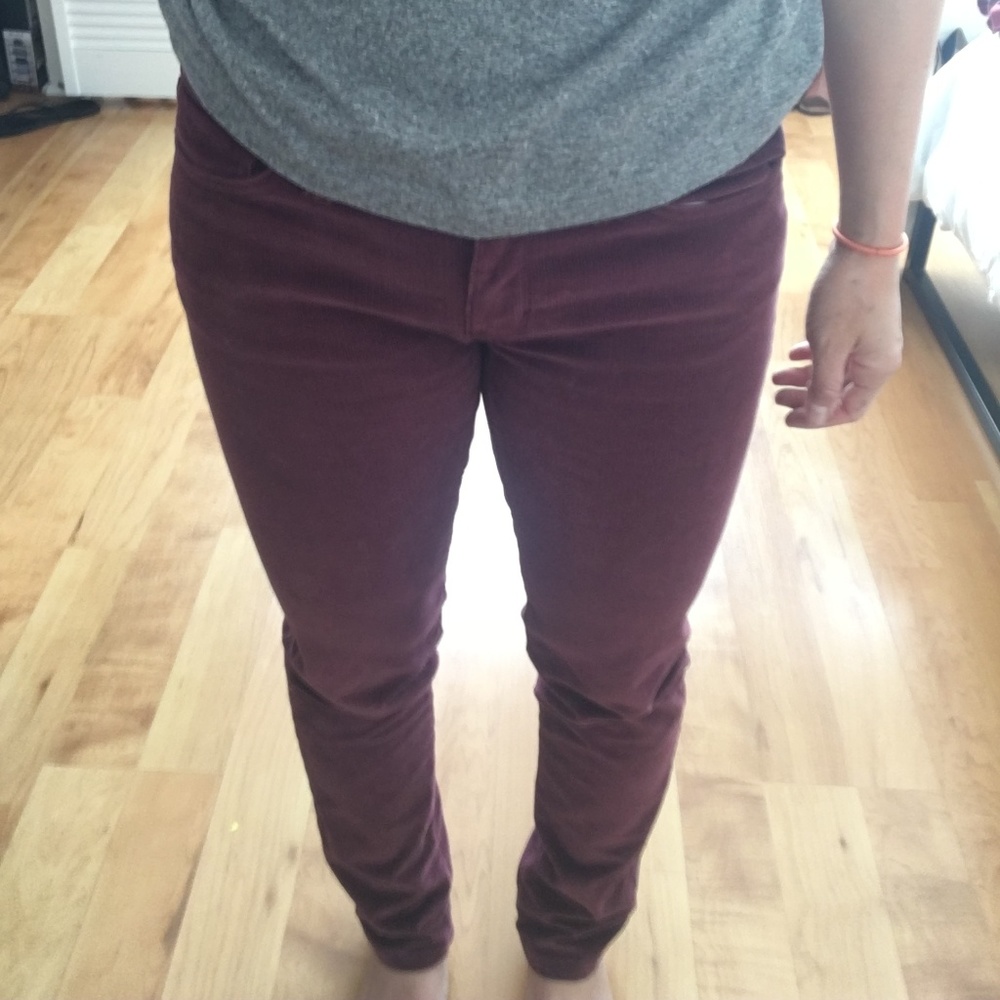 Patagonia Fitted Corduroy Pants (almost new)